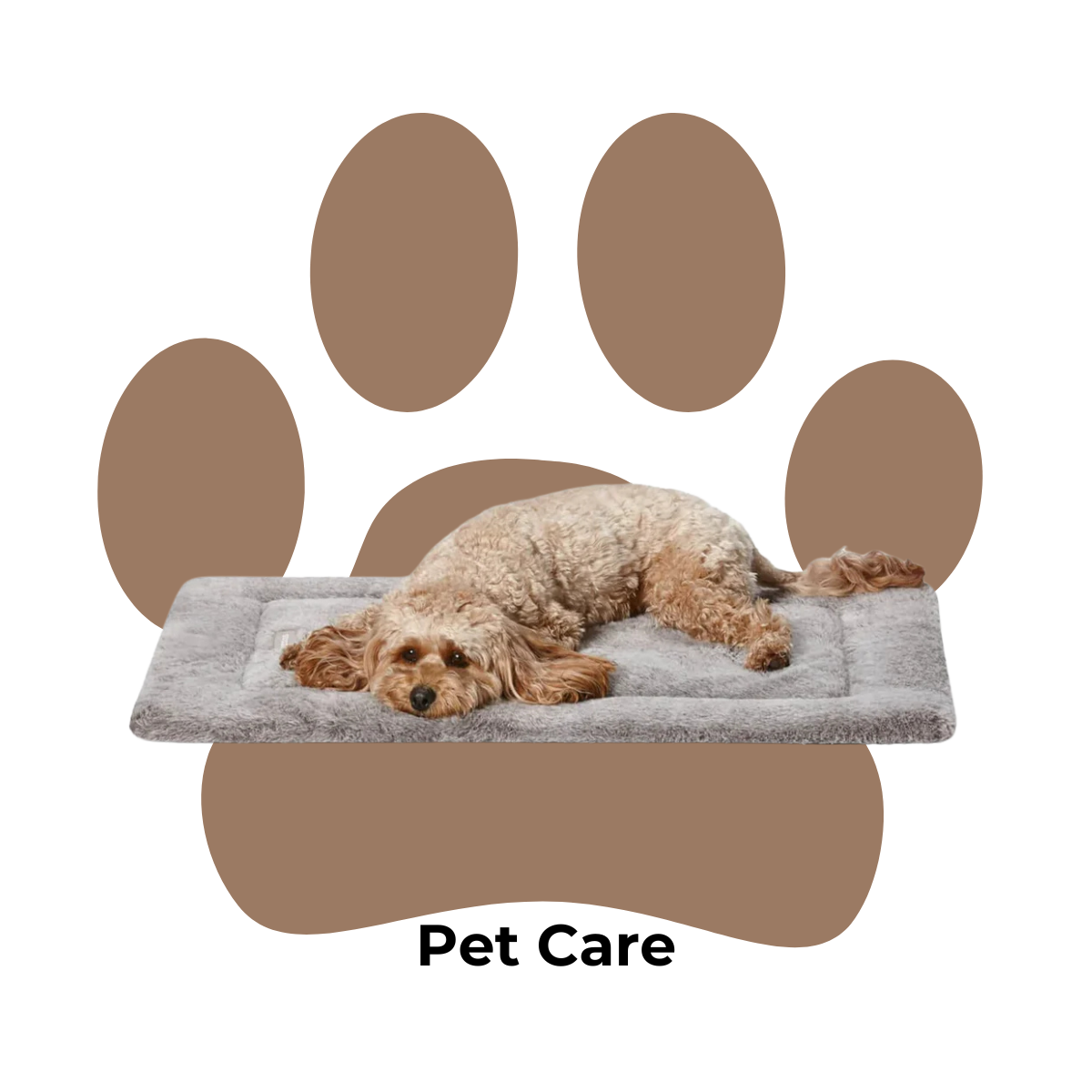 Pet Care